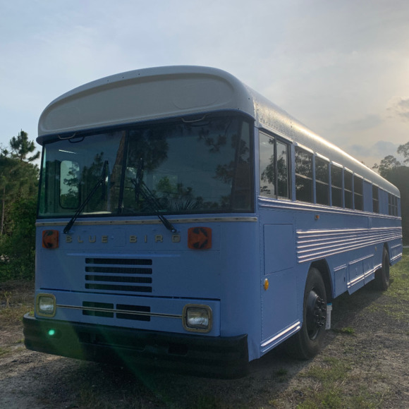 periwinkle_bus
